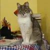 Отзыв от Василиса Астахова